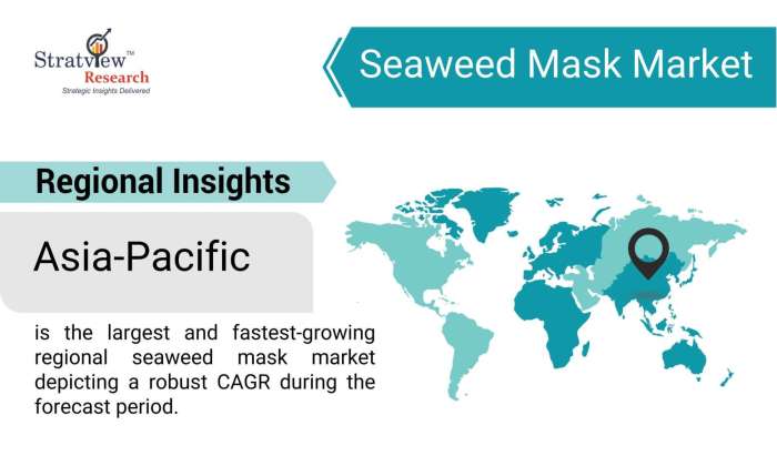 Seaweed-Mask-Market-Regional-Insights